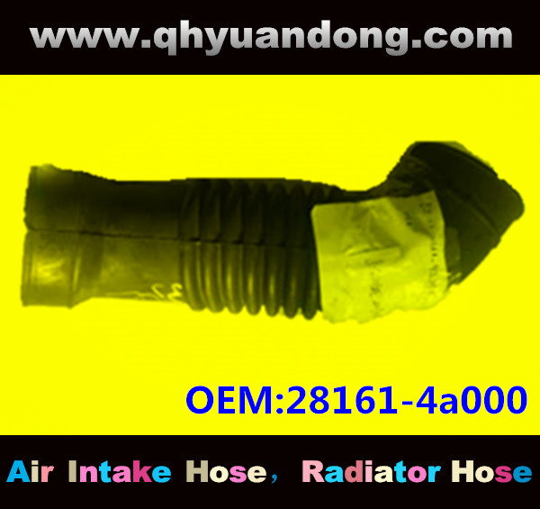 Air intake hose 28161-4a000