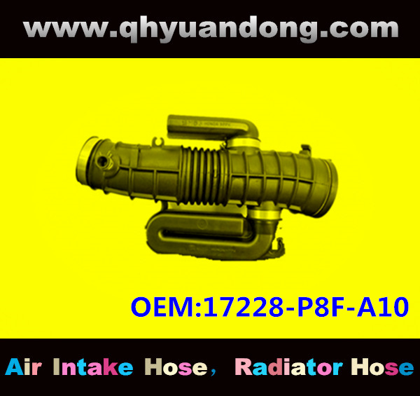 AIR INTAKE HOSE 17228-P8F-A10
